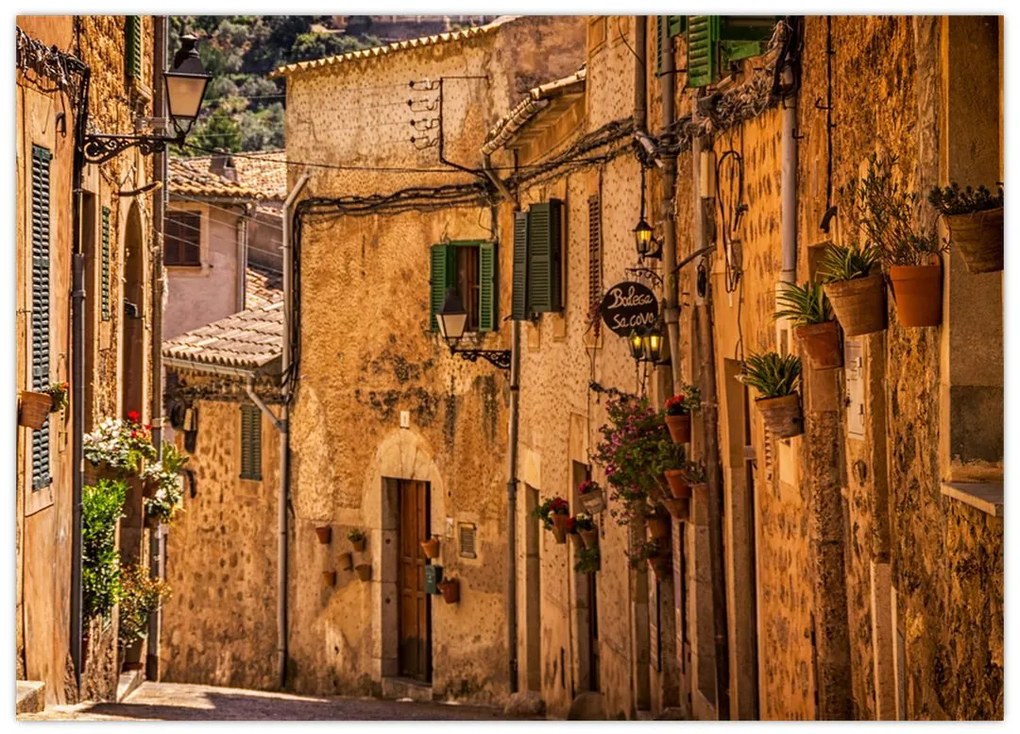 Tablou - Strada din Spania (70x50 cm)