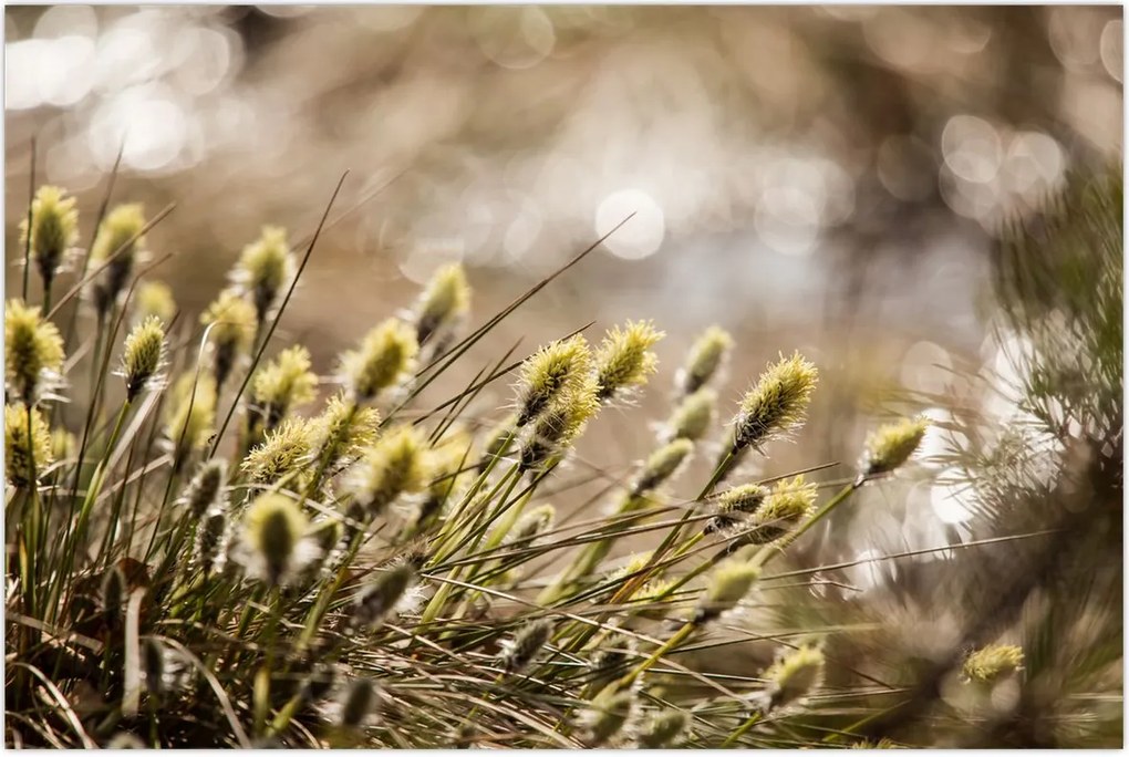 Tablou - Verde (90x60 cm)