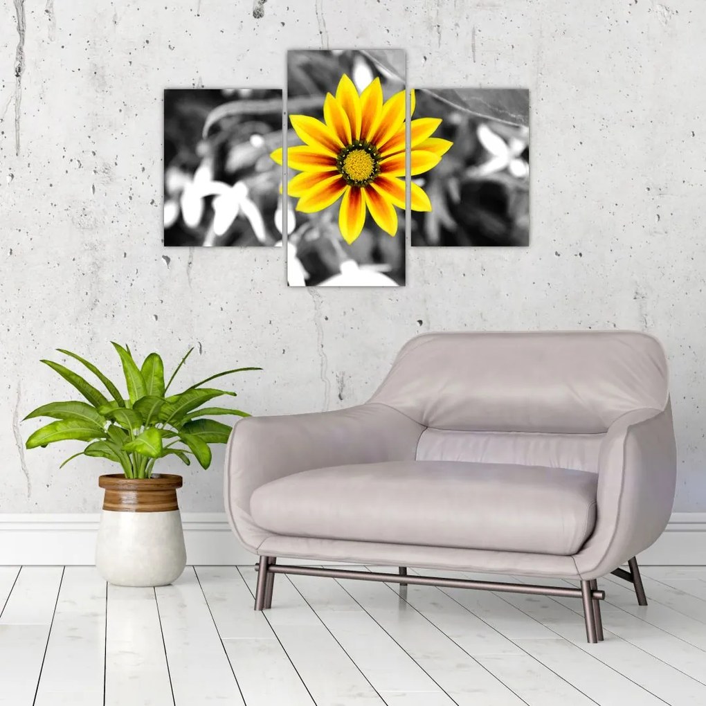 Tablou cu floare galbenă (90x60 cm)