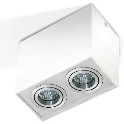 Spot aplicat tavan/plafon stil modern ELOY 2 White/ Alu