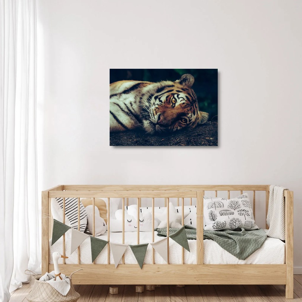 Tablou pe sticlă - Tigrul Siberian (70x50 cm)
