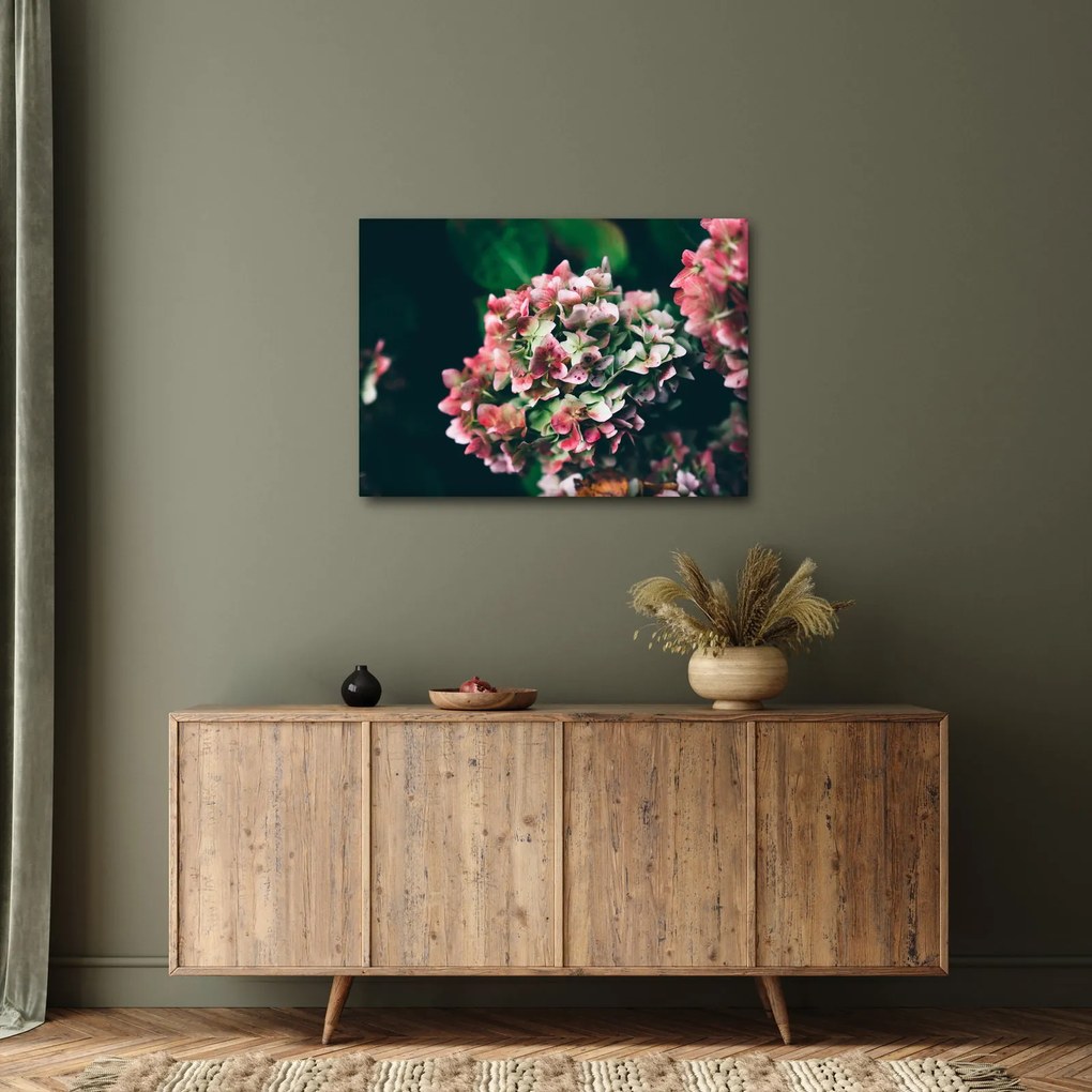 Tablou - Hortensie (70x50 cm)