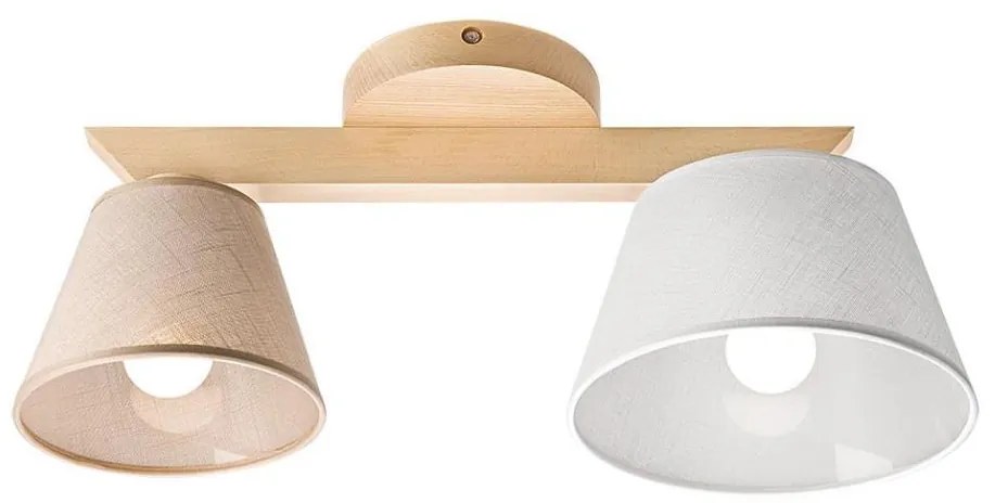 Lustr aplicat ANTONIO 2xE14/40W/230V