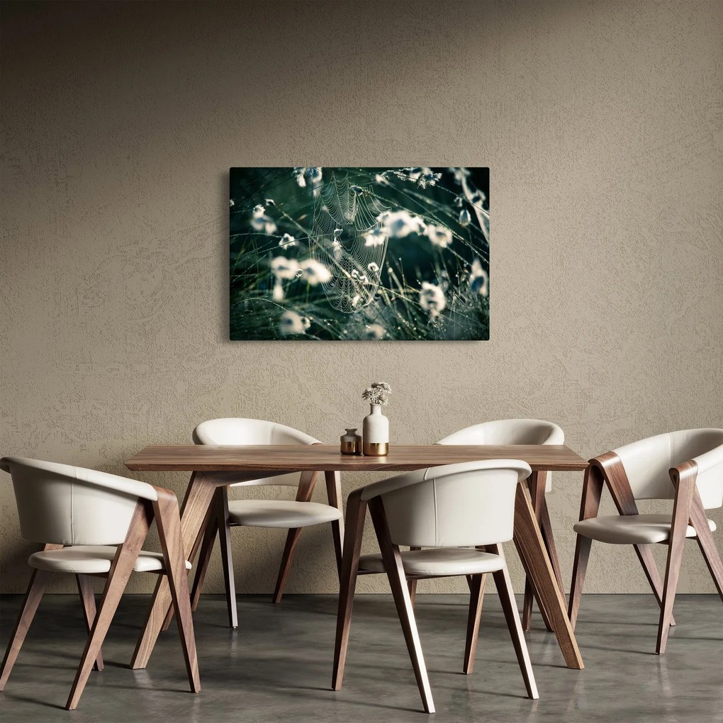 Tablou - Pânză de păianjen (90x60 cm)