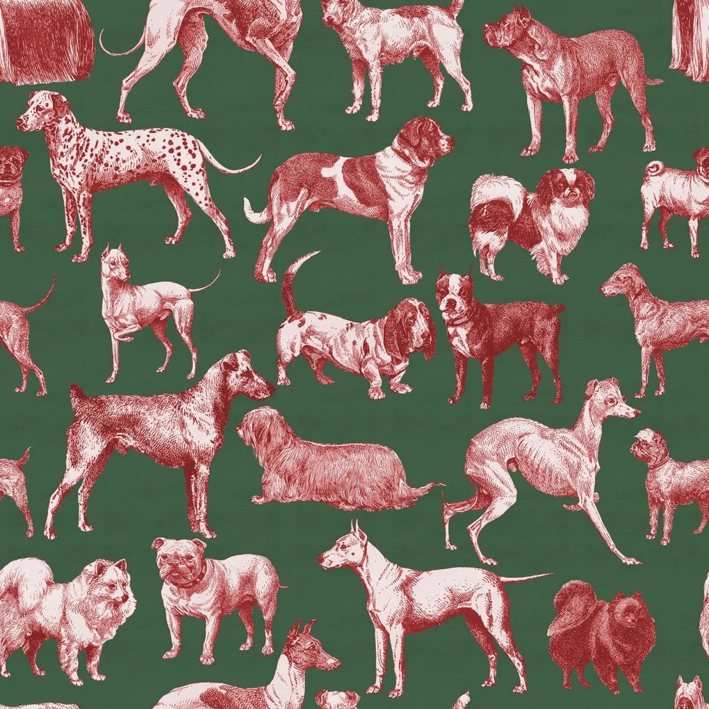 Fototapet, Dogs, Red Tan, Rebel Walls