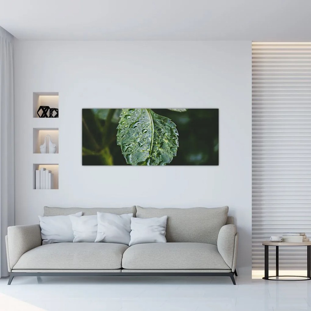 Tablou - picături pe frunză (120x50 cm)