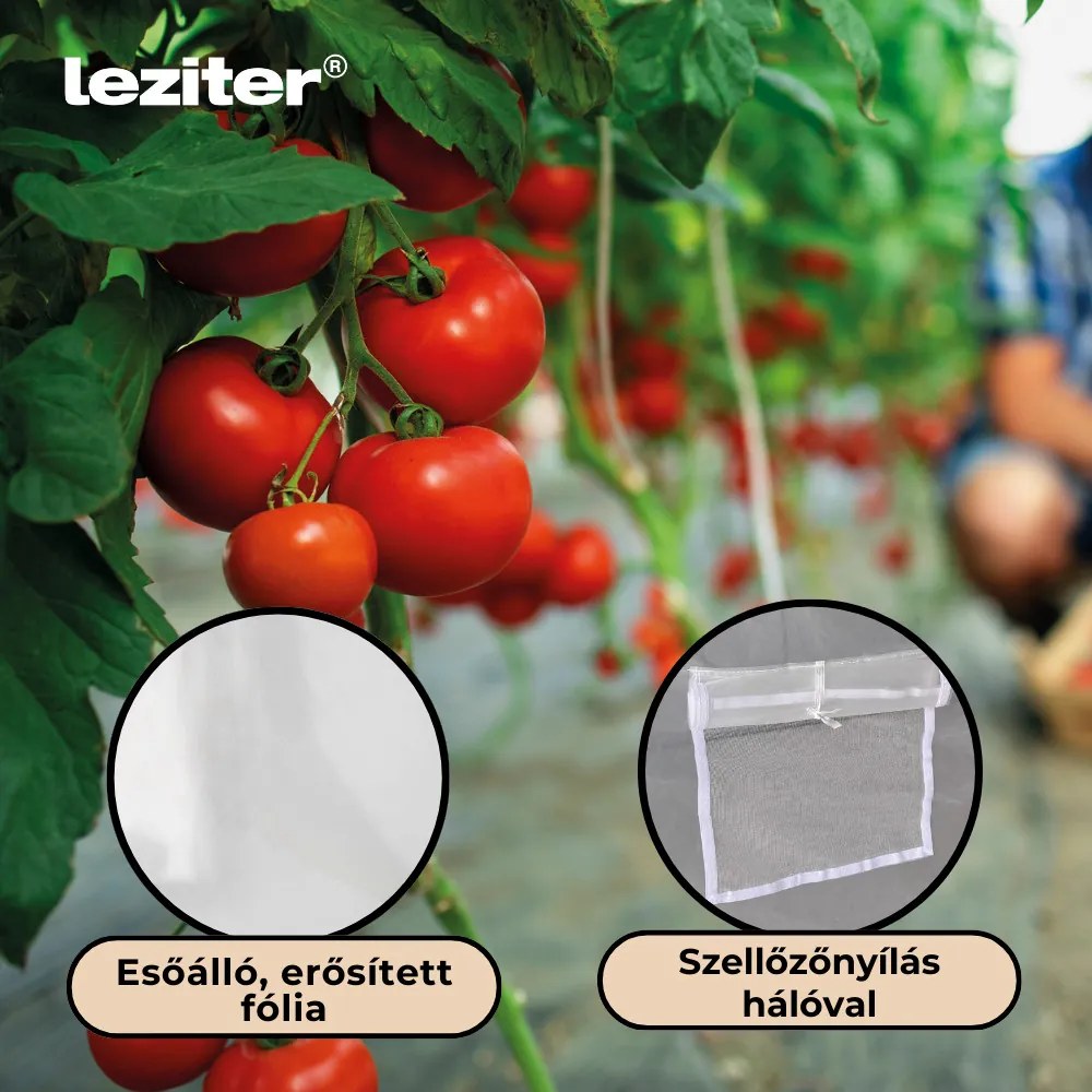 Cort din folie 200x200x300 cm cu cadru ranforsat + folie transparentă