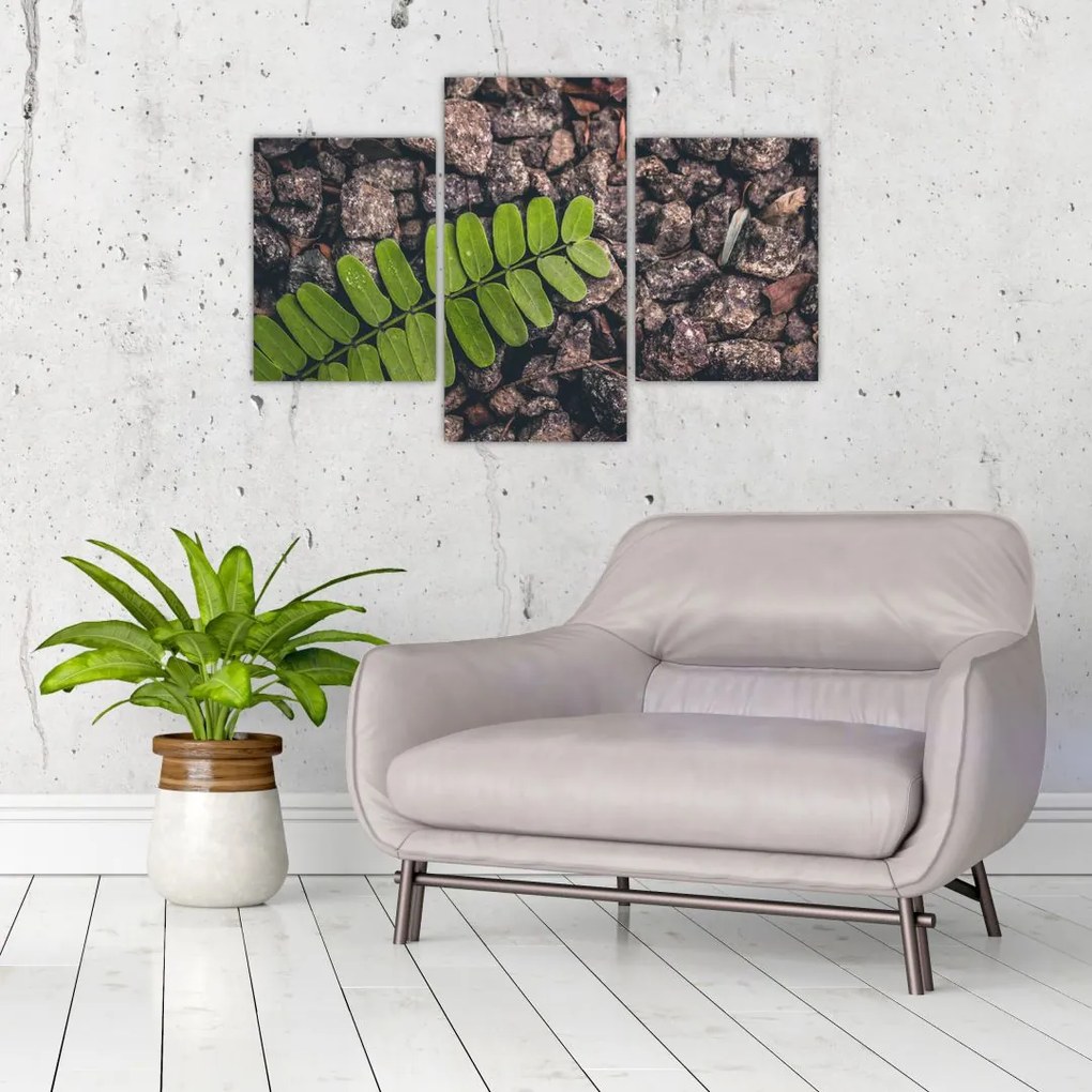 Tablou cu planta verde (90x60 cm)