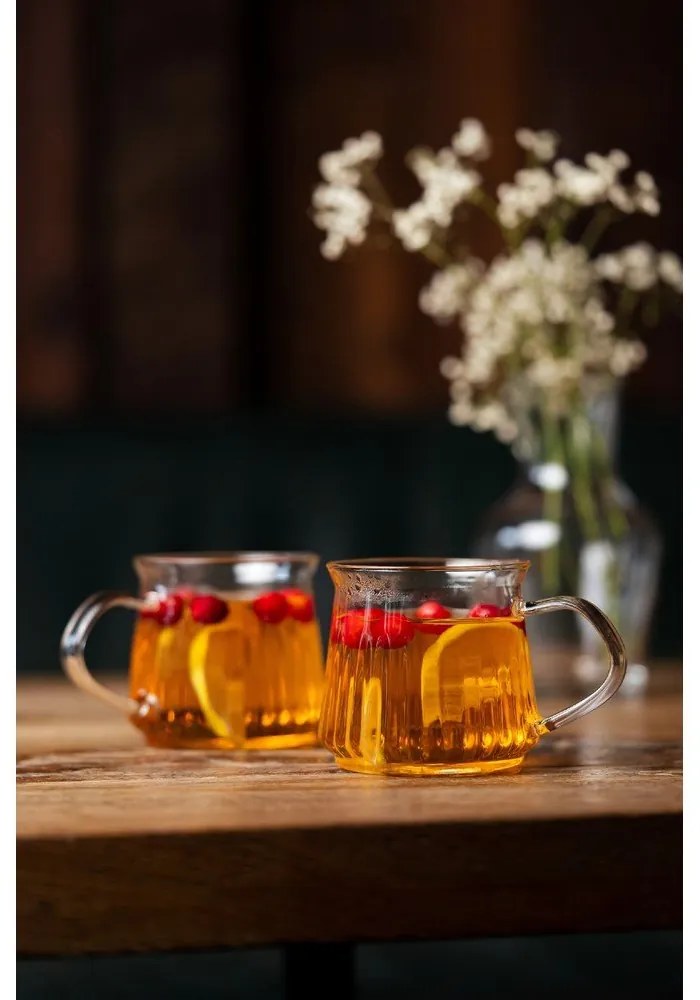 Căni 2 buc. pentru cappuccino/cu perete dublu 320 ml Mia – Vialli Design