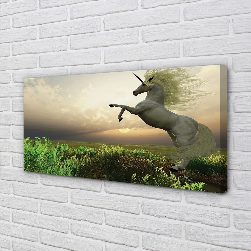 Tablouri canvas Unicorn Golf