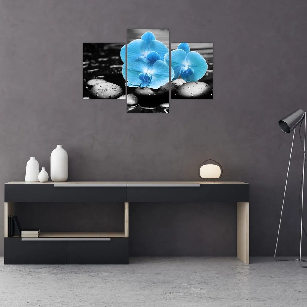Tablou - Orhidee albastră (90x60 cm)