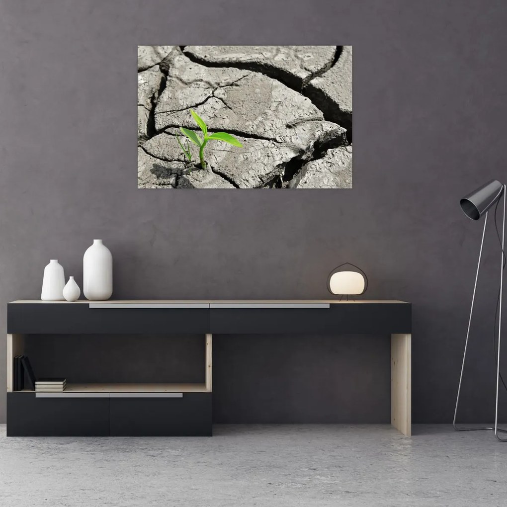 Tablou - Fisuri (90x60 cm)