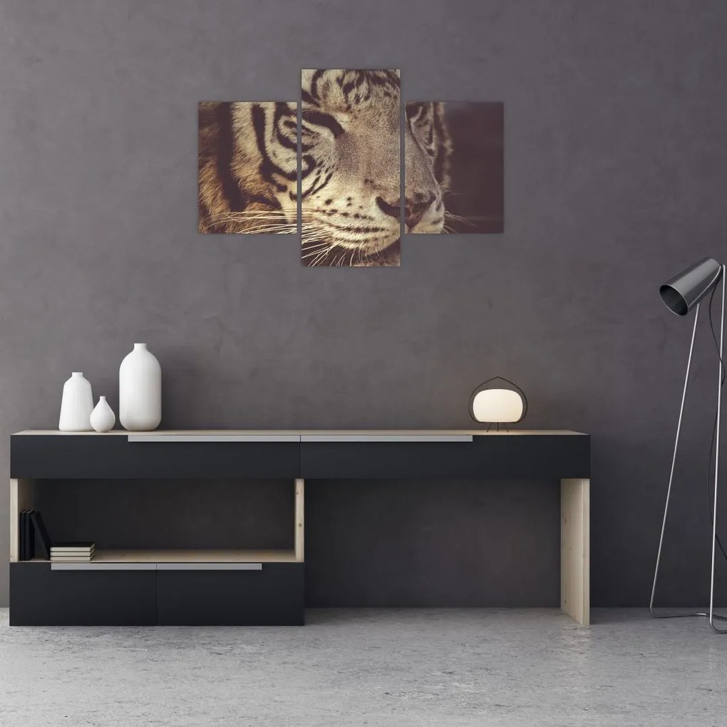 Tablou cu tigrul (90x60 cm)