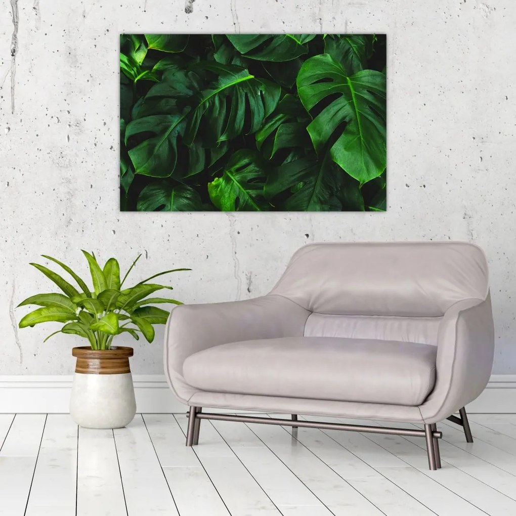Tablou cu frunze Monstery (90x60 cm)