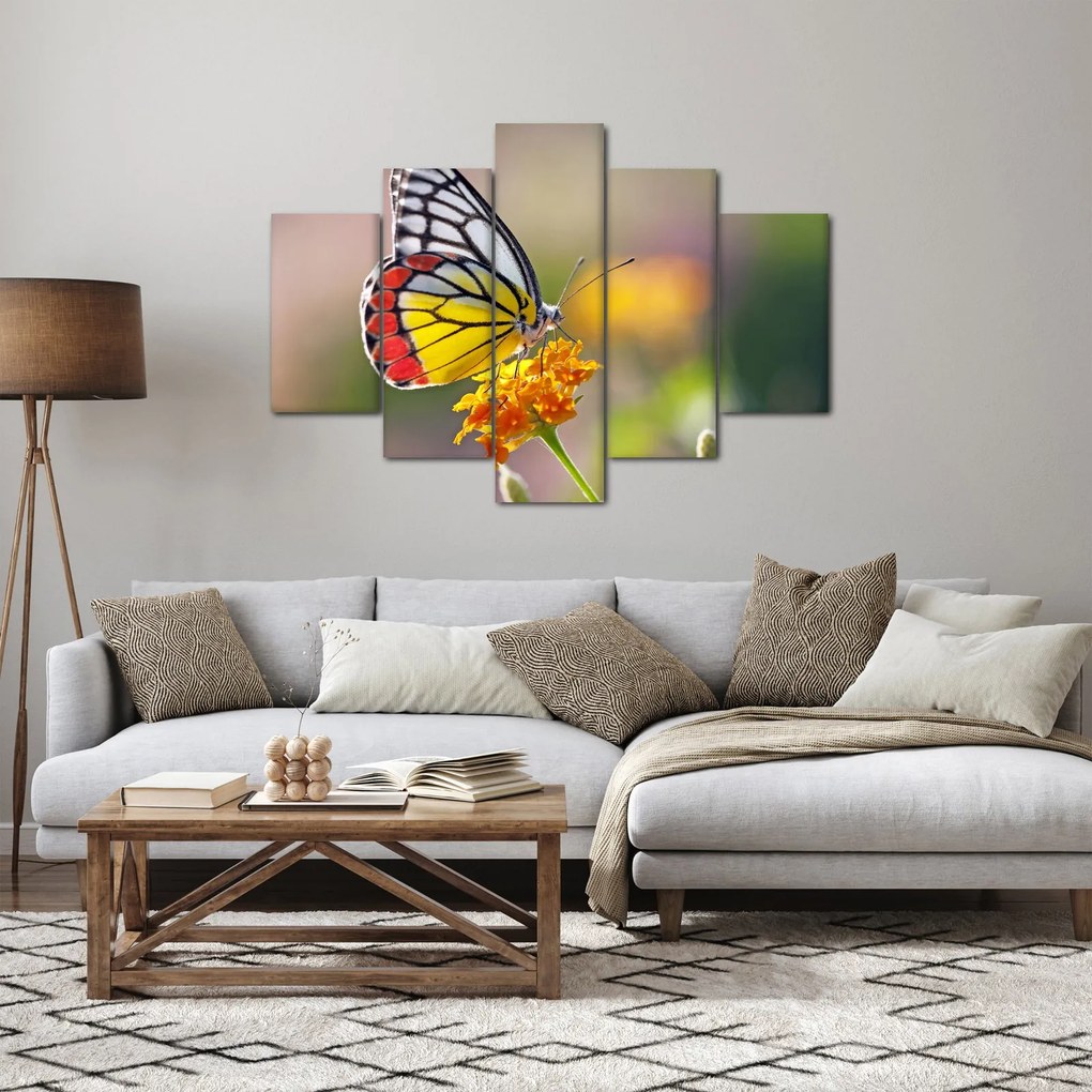 Tablou - Fluture pe floare (150x105 cm)