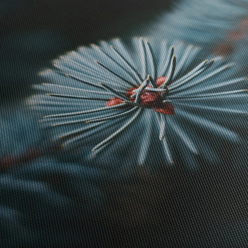 Tablou -Crenguțe ale unui conifer (120x50 cm)