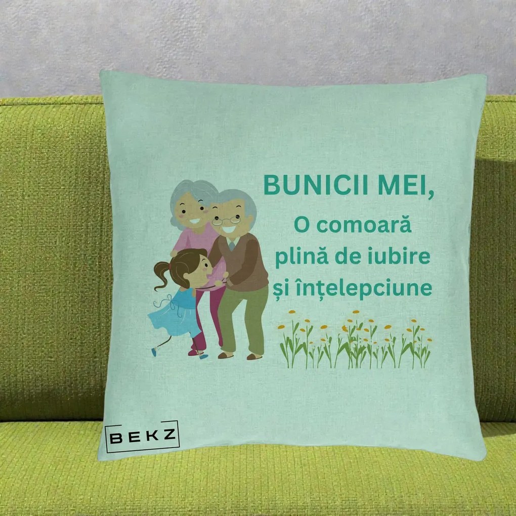 Cadou pentru Bunici - Perna Personalizata Bunicii Mei Comoara Iubire Intelepciune Nepoata, 40x40 cm, Verde Menta, Husa Detasabila, Perna Inclusa, BEKZ®