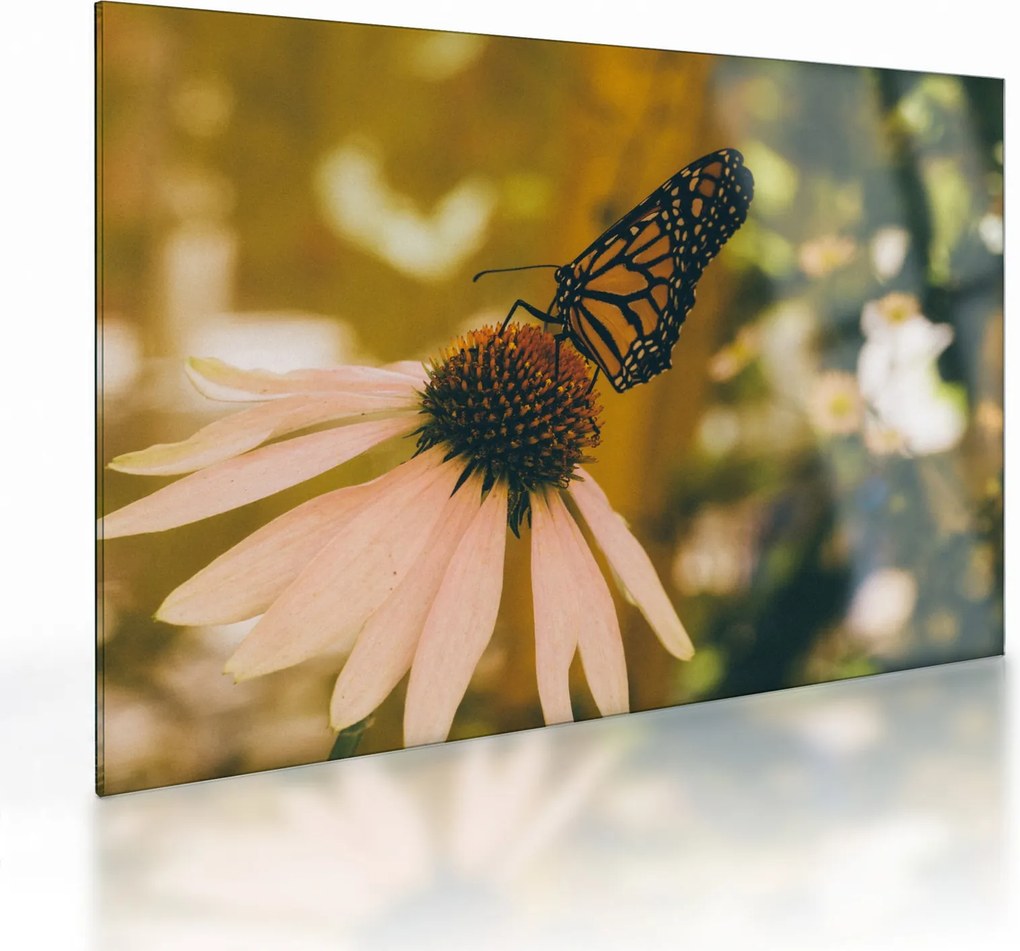 Tablou pe sticlă cu fluture pe floare (70x50 cm)