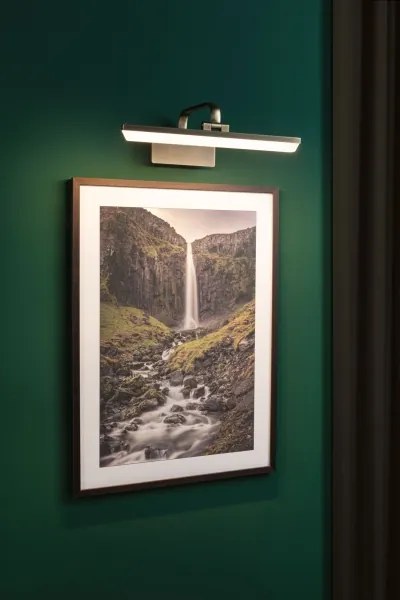 Paulmann 95569 - Lampă pentru tablouri RENAN LED/9,5W 230V 40 cm alamă