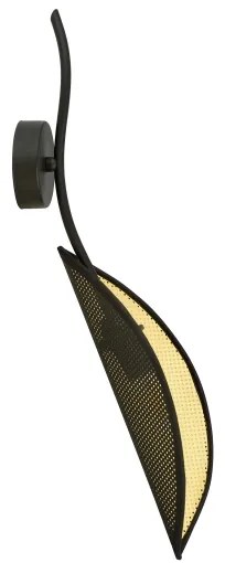 Aplică LOTUS 1xE14/10W/230V negru/auriu