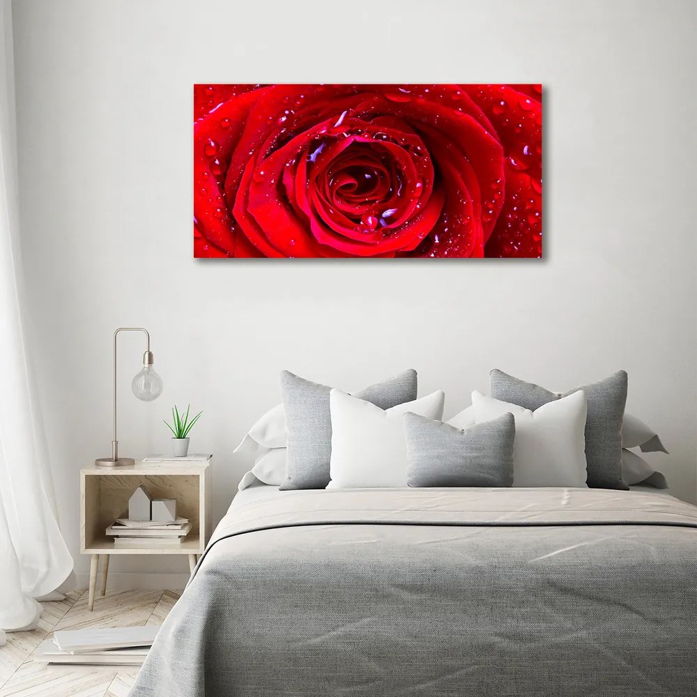 Imprimare tablou canvas Trandafir