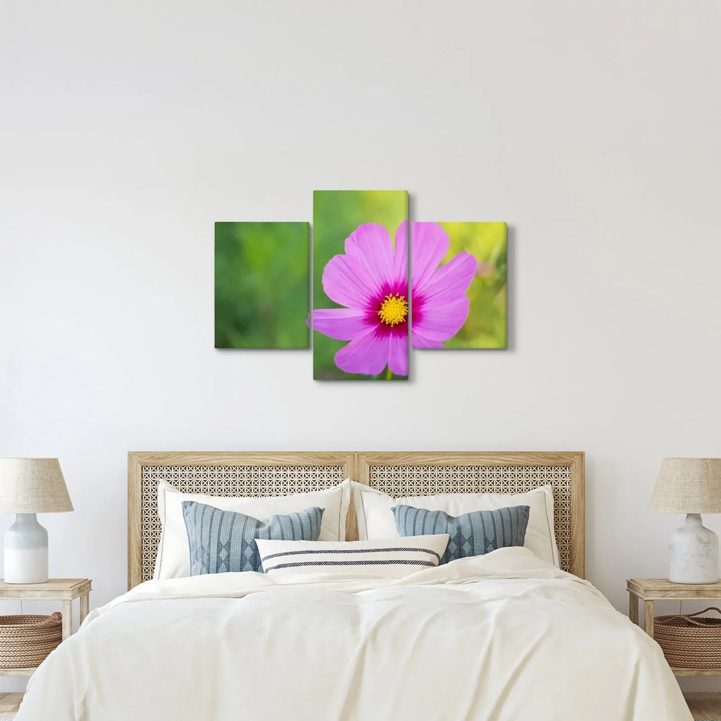 Tablou - floare de câmp (90x60 cm)