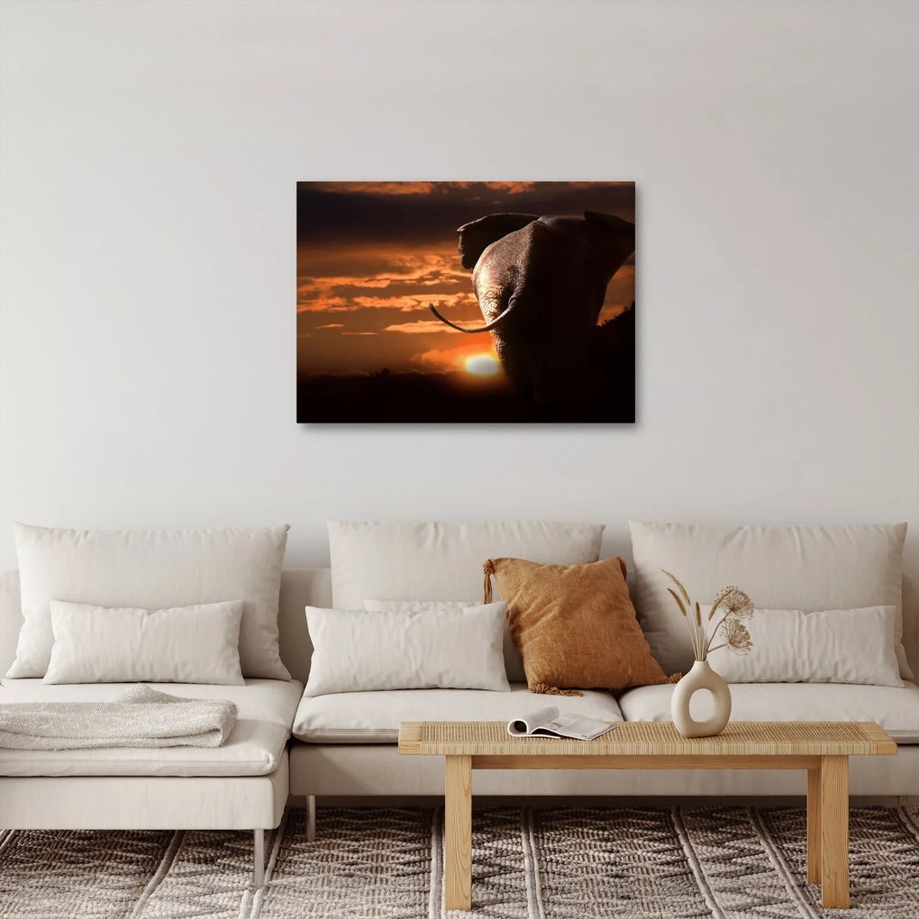 Tablou cu elefant (70x50 cm)