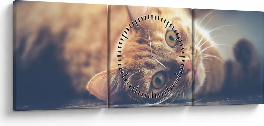 Tablou - Pisici pe podea (cu ceas) (90x30 cm)