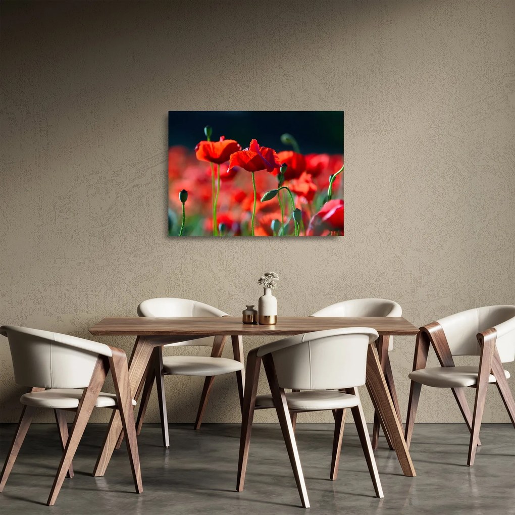 Tablou pe sticlă - flori de maci (70x50 cm)