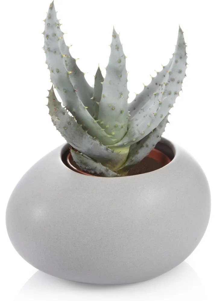 Tescoma Cutie pentru ghiveci mic FANCY HOMEStones, gri