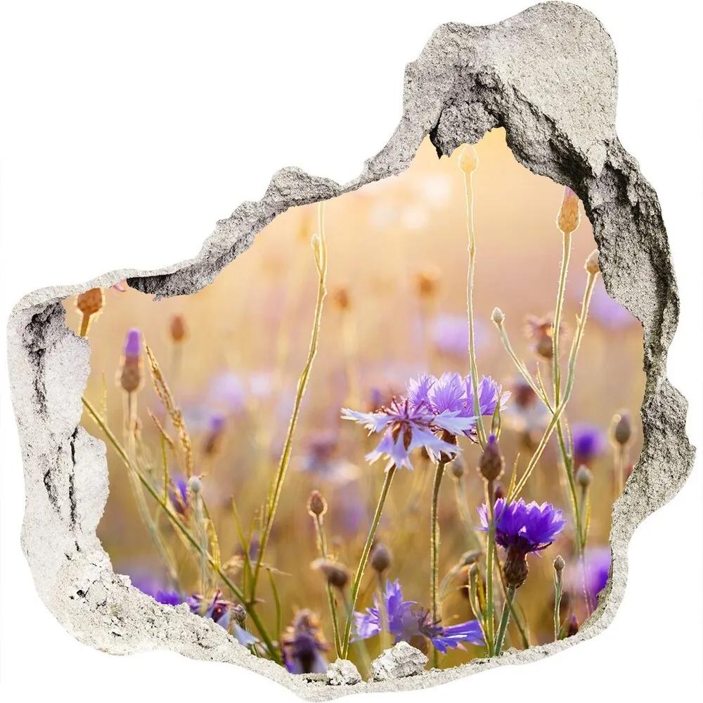 Autocolant autoadeziv gaură Flori de câmp
