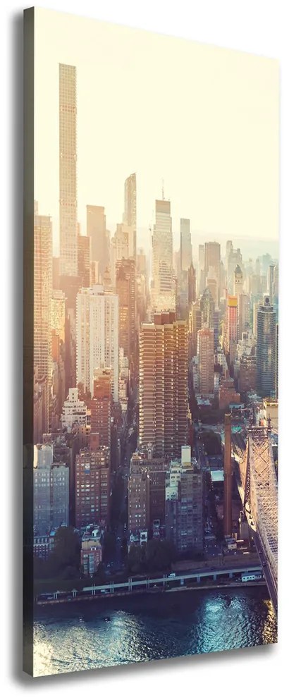 Pictură pe pânză New York pasăre de zbor