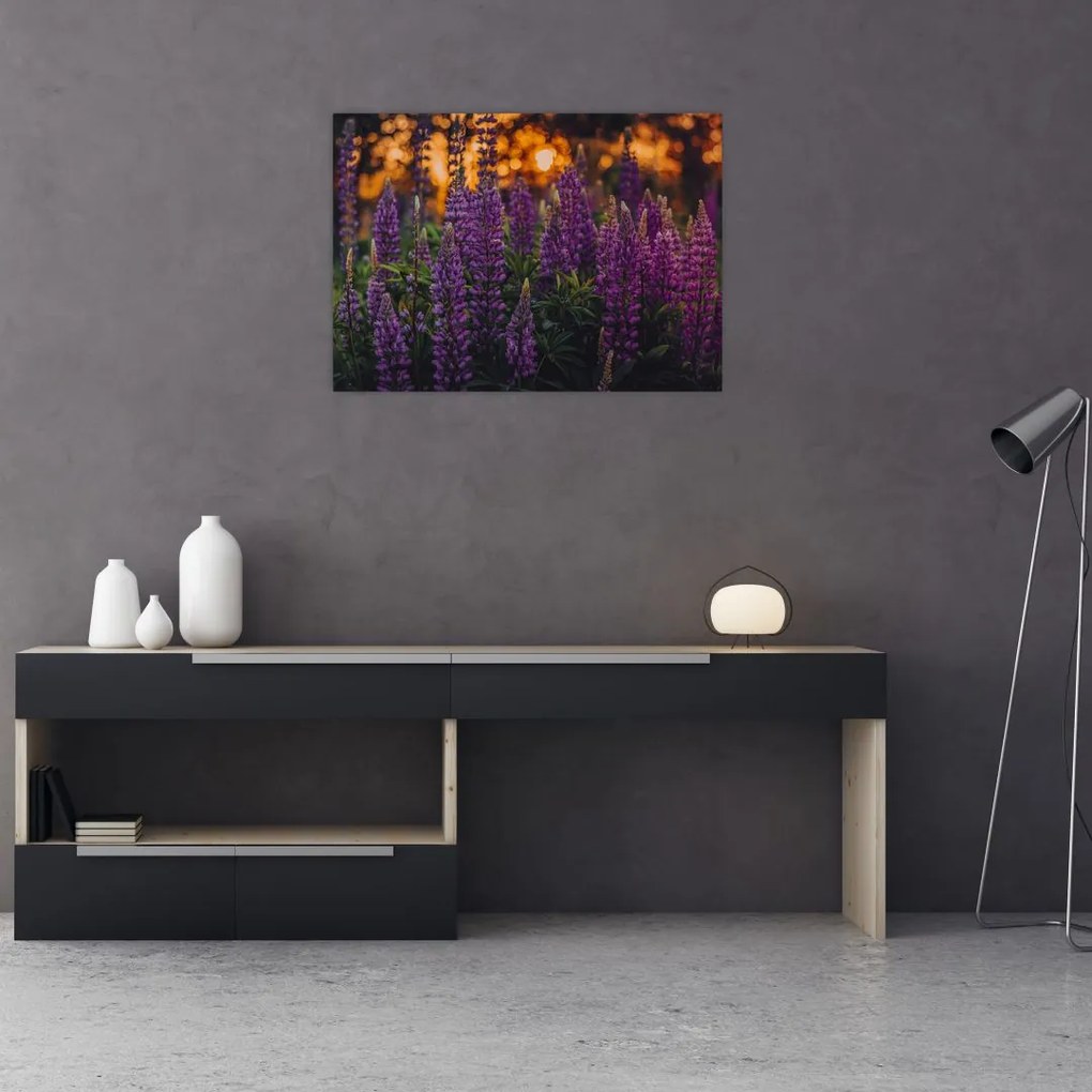 Tablou pe sticlă - Flori de lupin (70x50 cm)