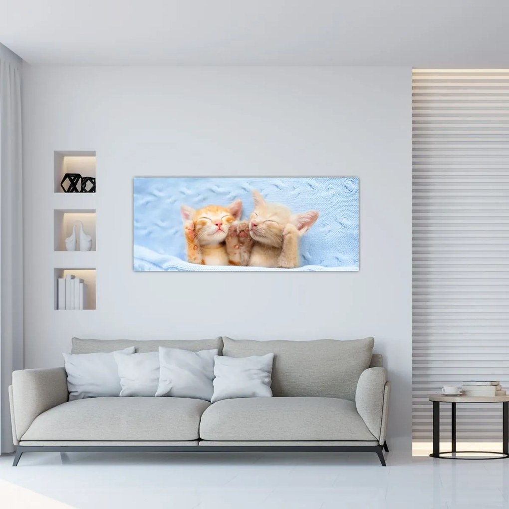 Tablou - Pisicuțe adormite (120x50 cm)