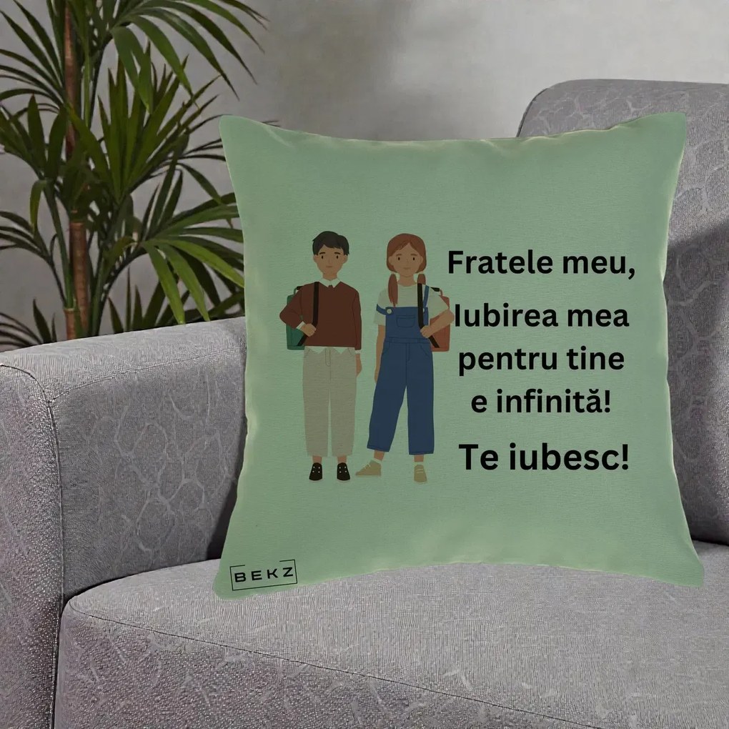 Cadou pentru Frate - Perna Personalizata Fratele Meu Te Iubesc Elevi Ilustratie Colorata, 40x40 cm, Verde, Husa Detasabila, Perna Inclusa, BEKZ®