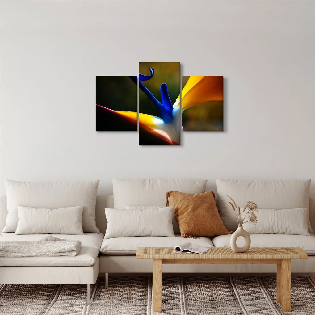 Tablou - Floare exotică (90x60 cm)