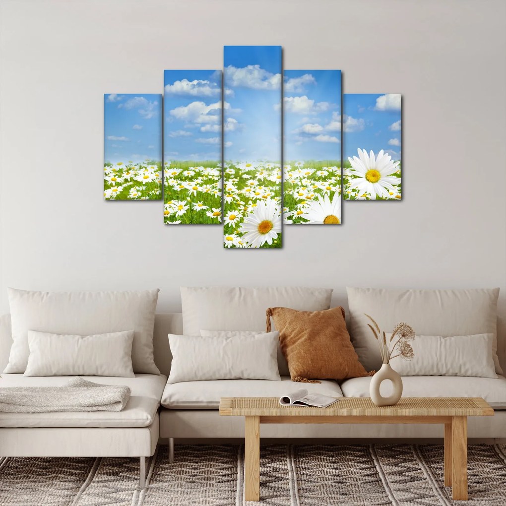 Tablou cu luncă înflorită cu margarete (150x105 cm)
