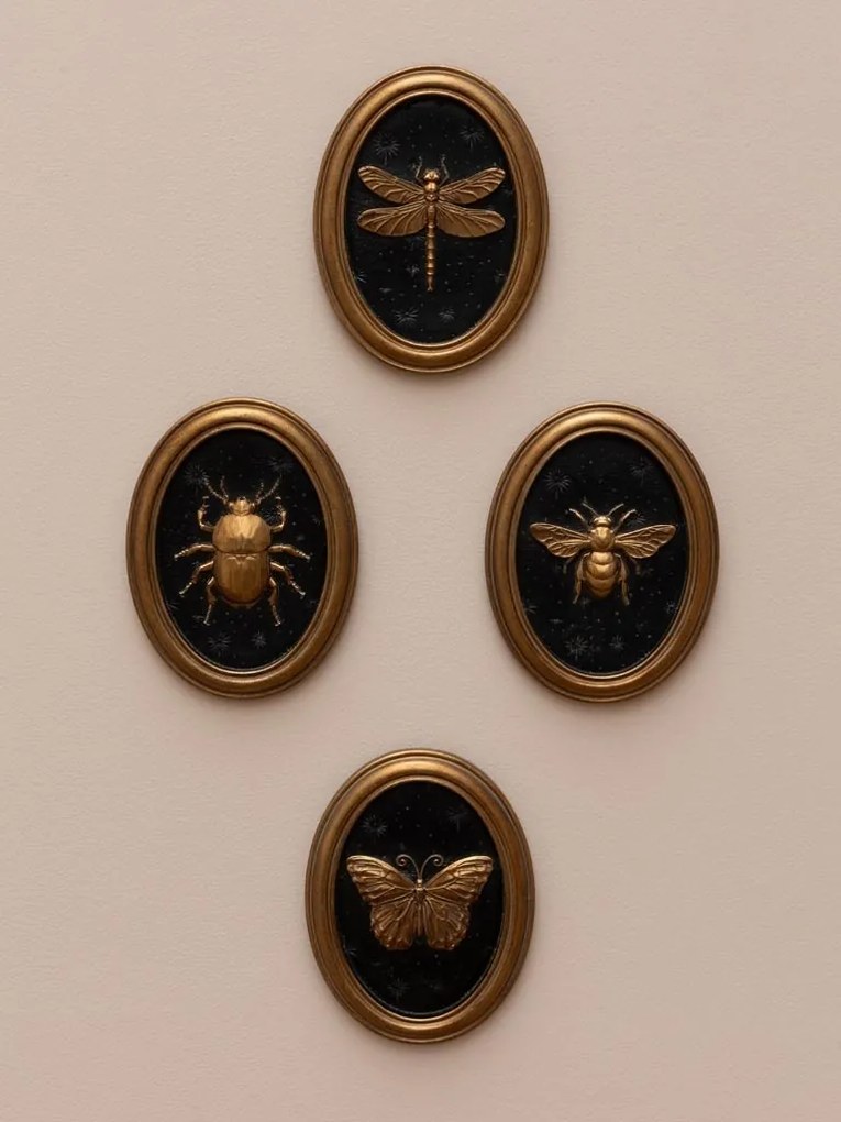 Set 4 tablouri polyrasina cu insecte " Entomology "