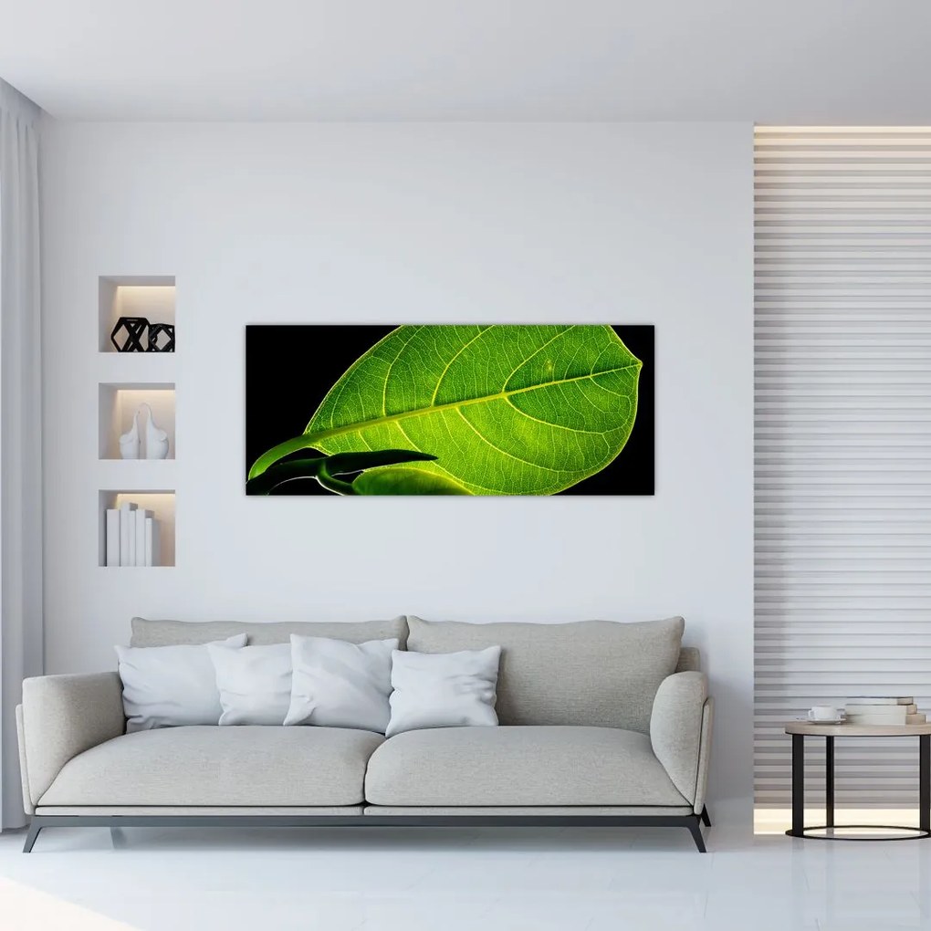 Tablou - frunză verde (120x50 cm)