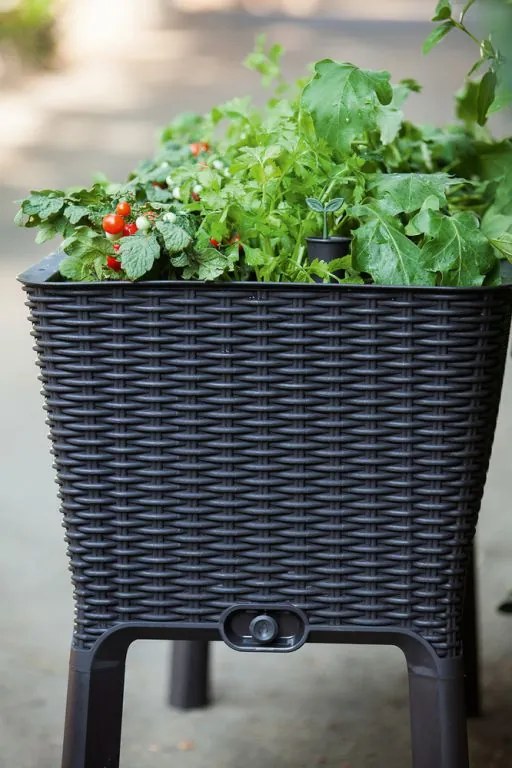 Ghiveci EASY GROW, antracit