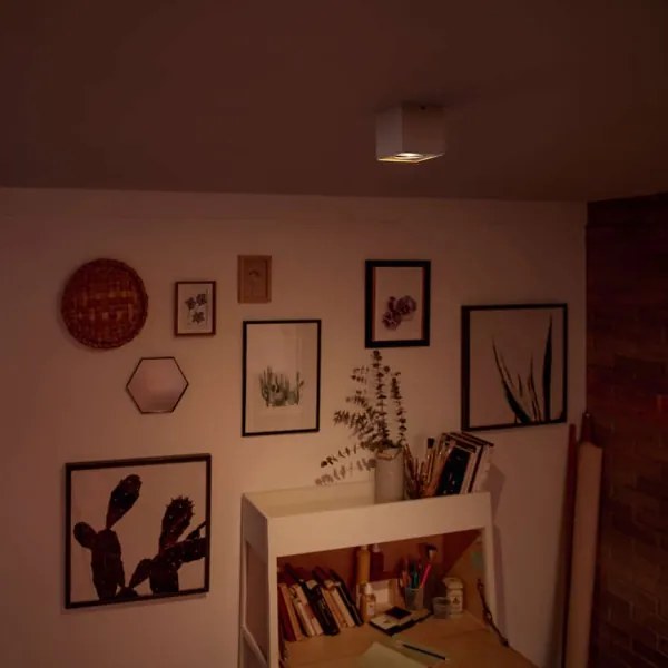 Spot LED MYLIVING BOX 1xLED/4,5W/230V Philips 50491/31/P0