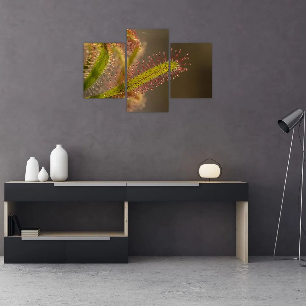 Tablou cu plantă (90x60 cm)