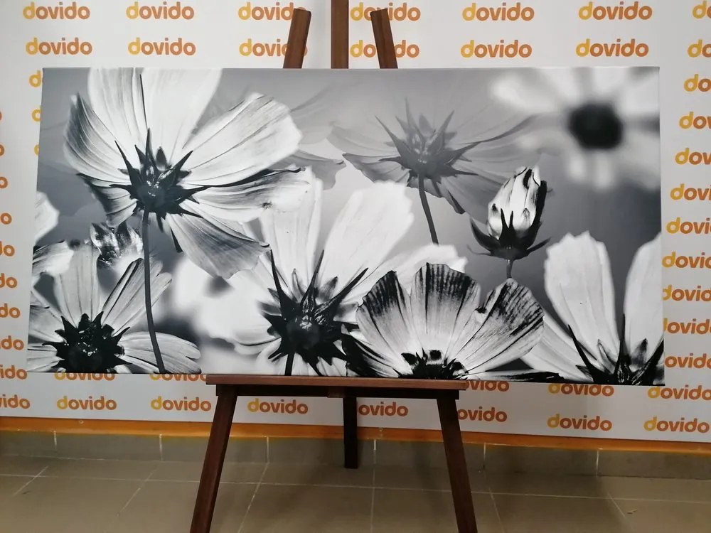 Tablou flori de grădină în design alb-negru