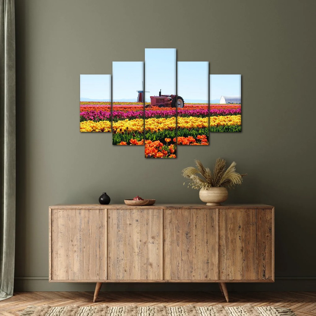 Tablou cu farma de lalele (150x105 cm)