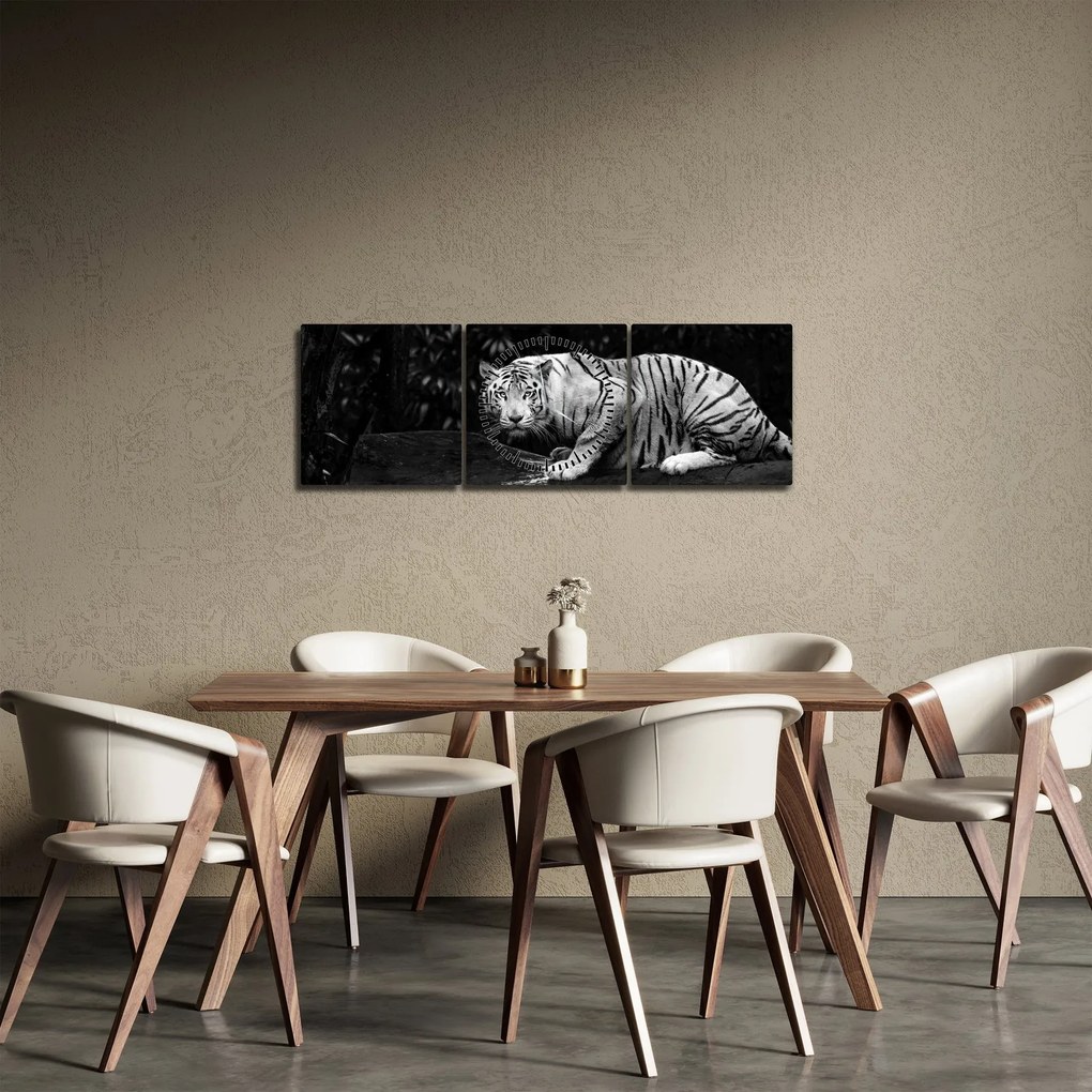 Tablou - Tigru alb, alb-negru (cu ceas) (90x30 cm)