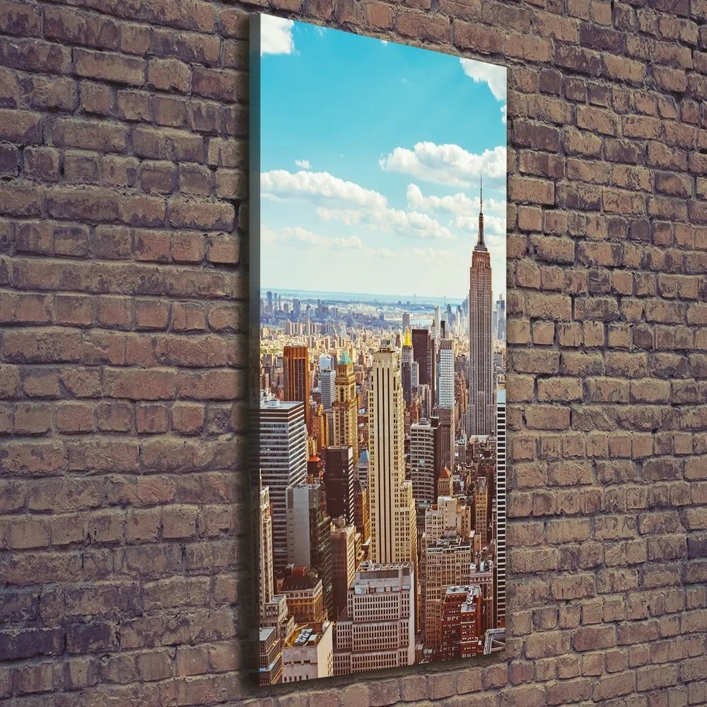 Print pe pânză New York pasăre de zbor