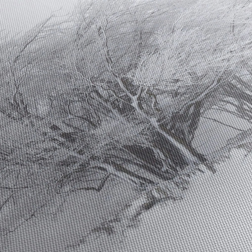 Tablou - Iarnă albă (150x105 cm)