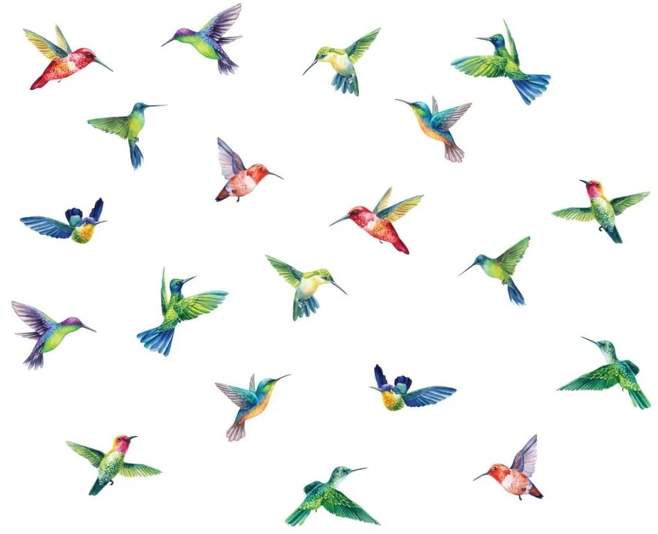 Autocolante pentru geam 20 buc. 40x60 cm Hummingbirds – Ambiance