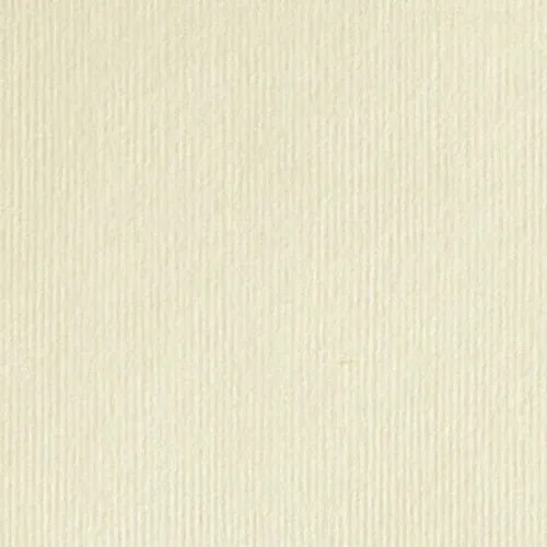 Carton texturat dali bianco 285gr