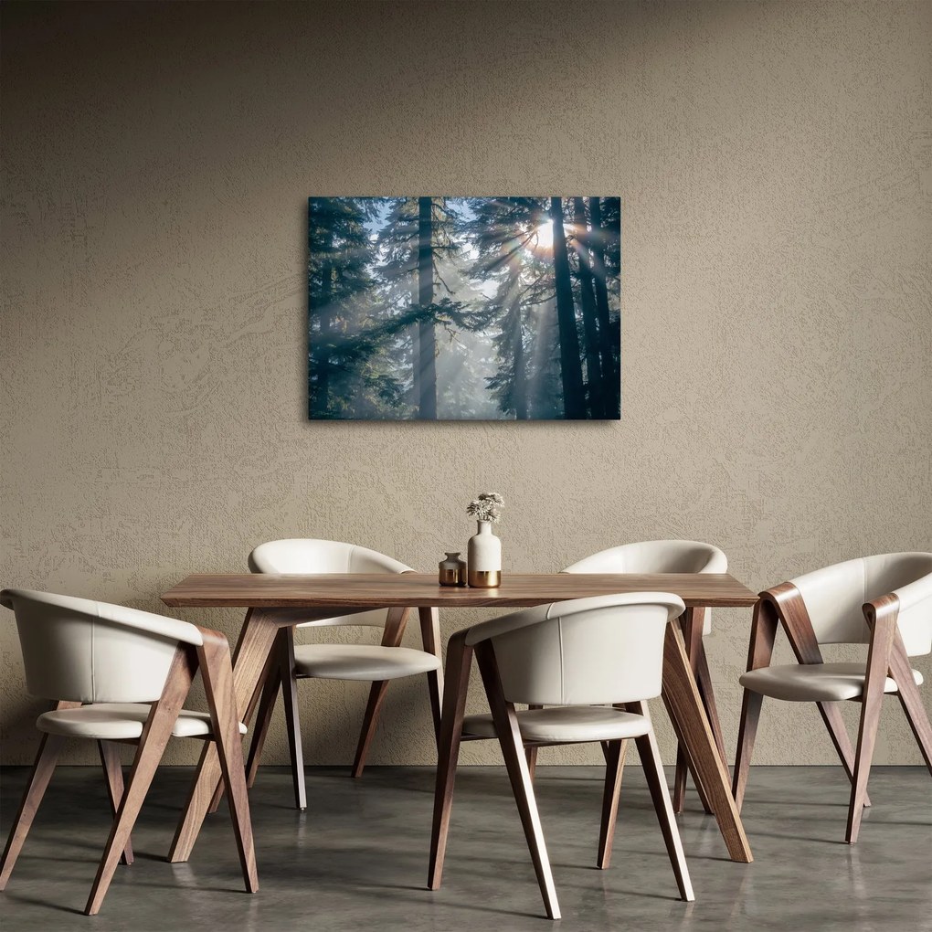 Tablou cu copaci și soarele translucind (70x50 cm)